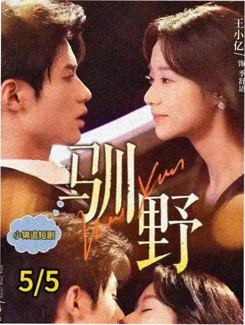 久久精品影视独家引进多部海外高分剧集